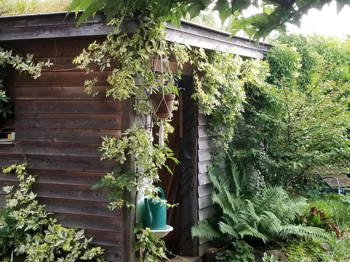 Chambre D'Hotes De Charme, Un Temps En Foret Westhouse Luaran gambar